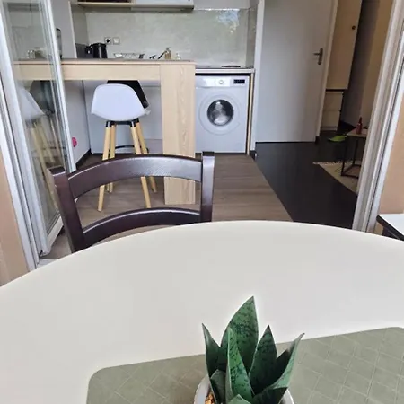 아파트 Chez Camille Cosy, Parking Gratuit Terrasse 루르드