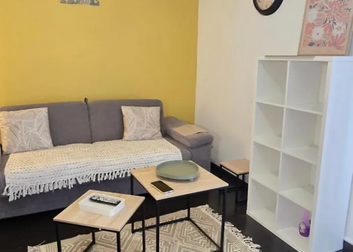 Chez Camille Cosy, Parking Gratuit Terrasse ルルド